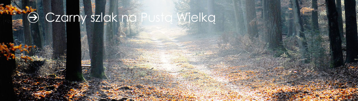 Szlak na Pustą Wielką